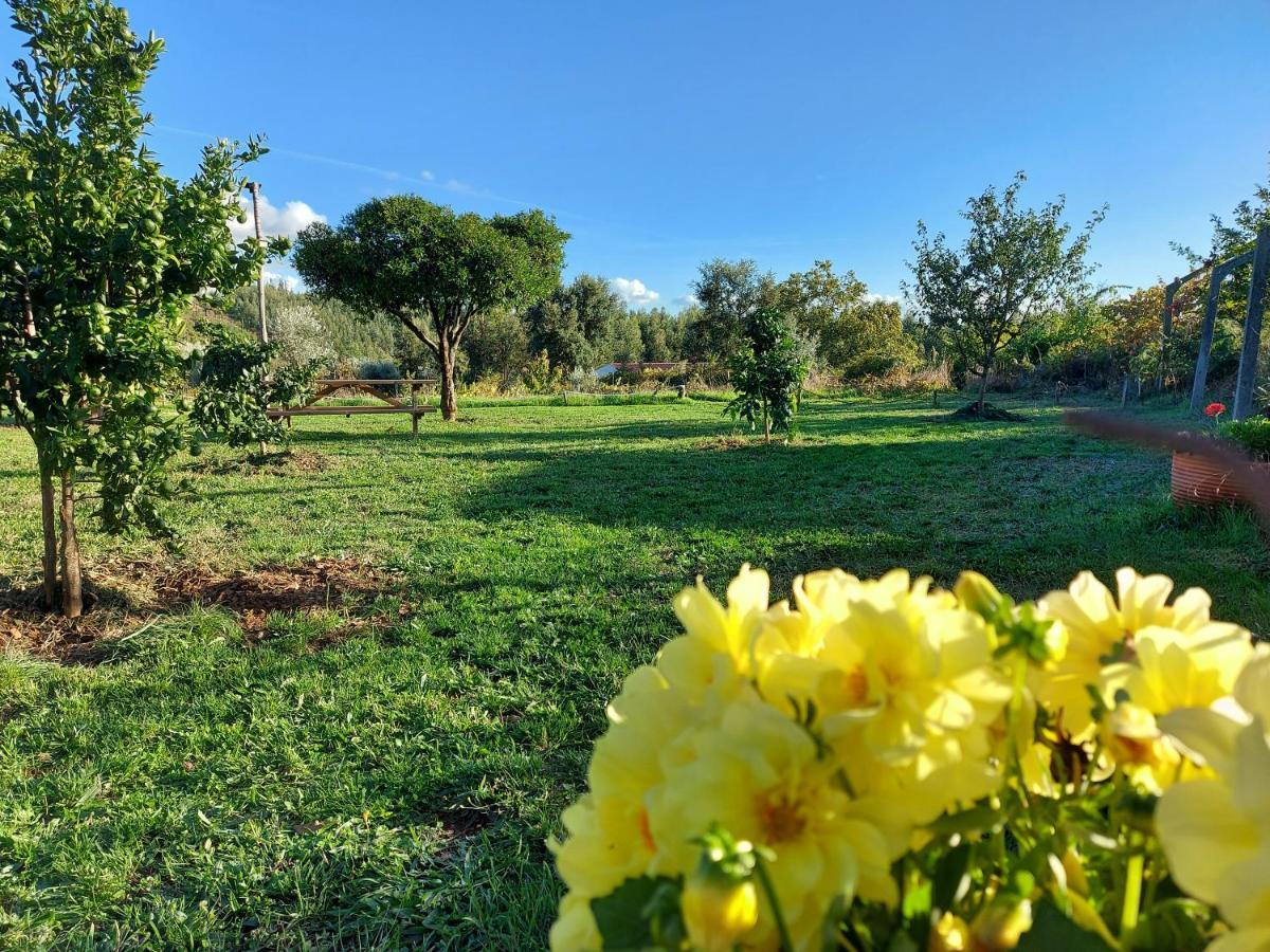 The Cottage Near The Lake Pedrogao Grande Exterior foto