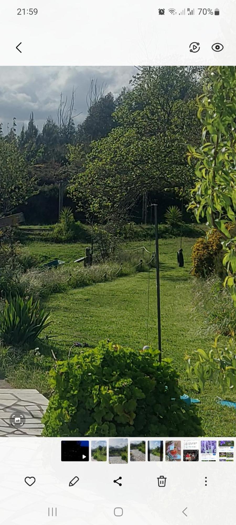 The Cottage Near The Lake Pedrogao Grande Exterior foto